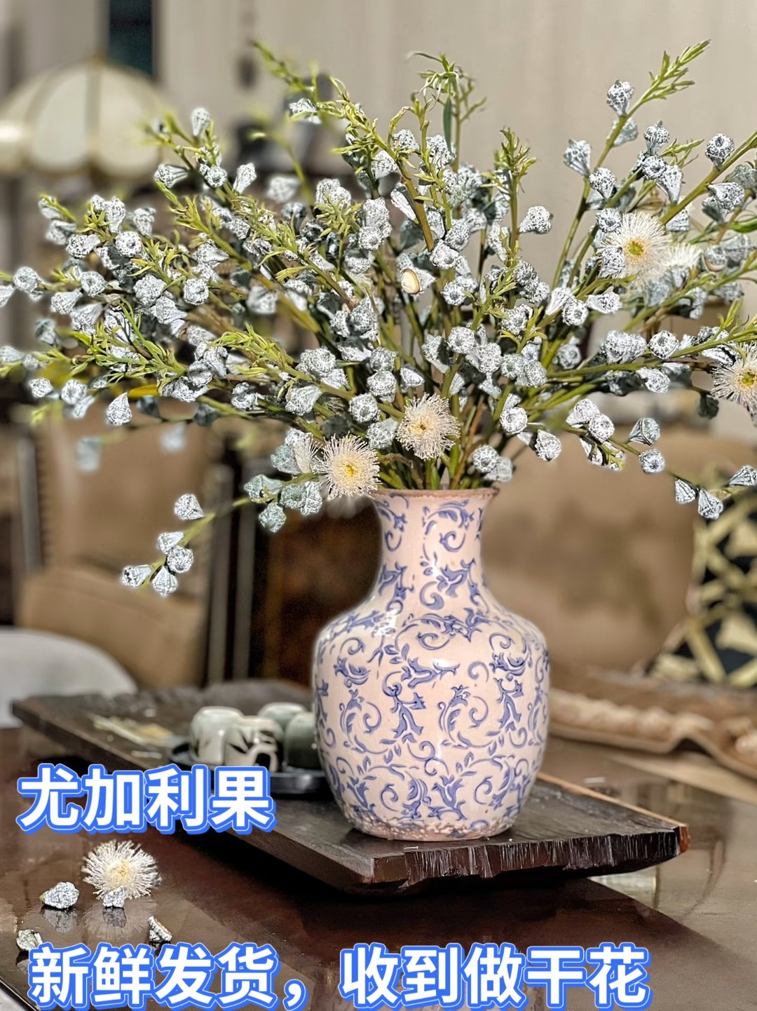 【钻石尤加利果】【发顺丰】新鲜发货，收到做干花。介意味道勿拍