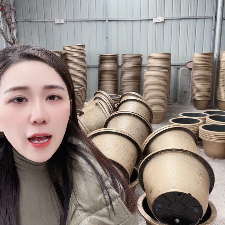 圆50口径花盆一个