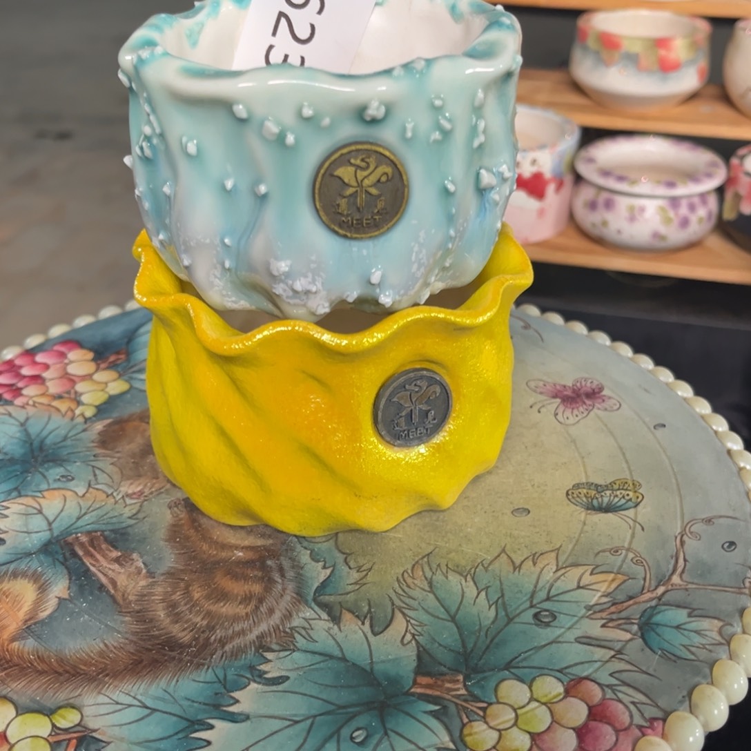 a***️623多肉花盆2个30元