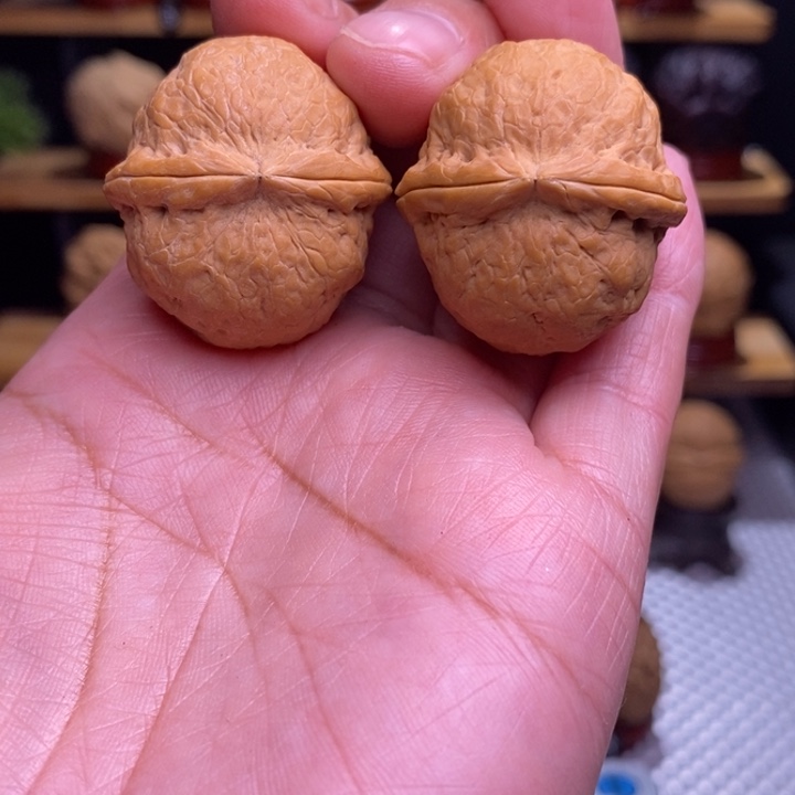 人***悔木质类云铁龙珠68号