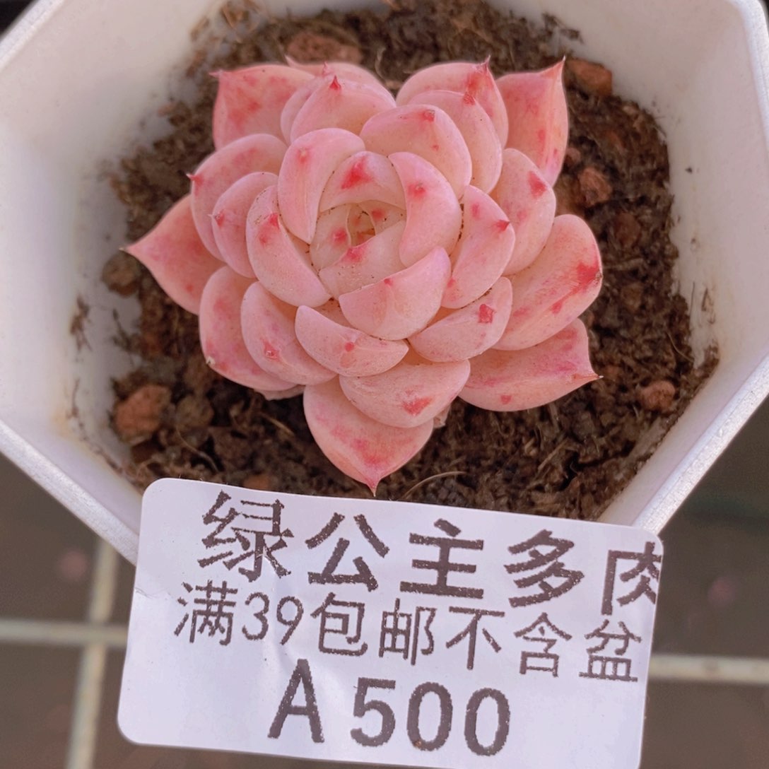 多肉3v m500 f g j k