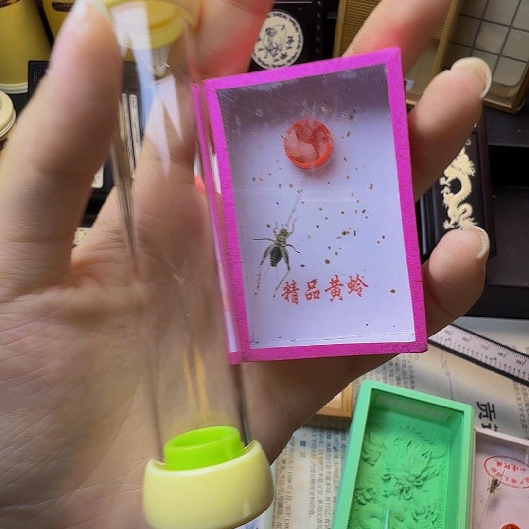 哈哈哈哈哈哈哈哈哈哈