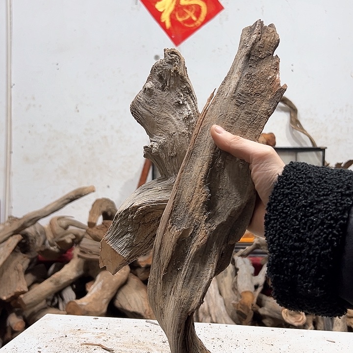 柏木厚**物我们的生活也是如此的