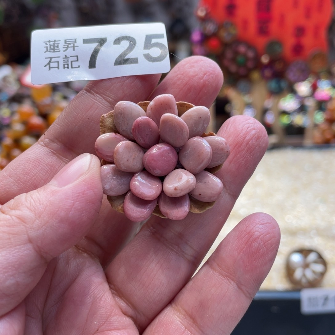 核桃木/黑胡桃（胡桃木）725