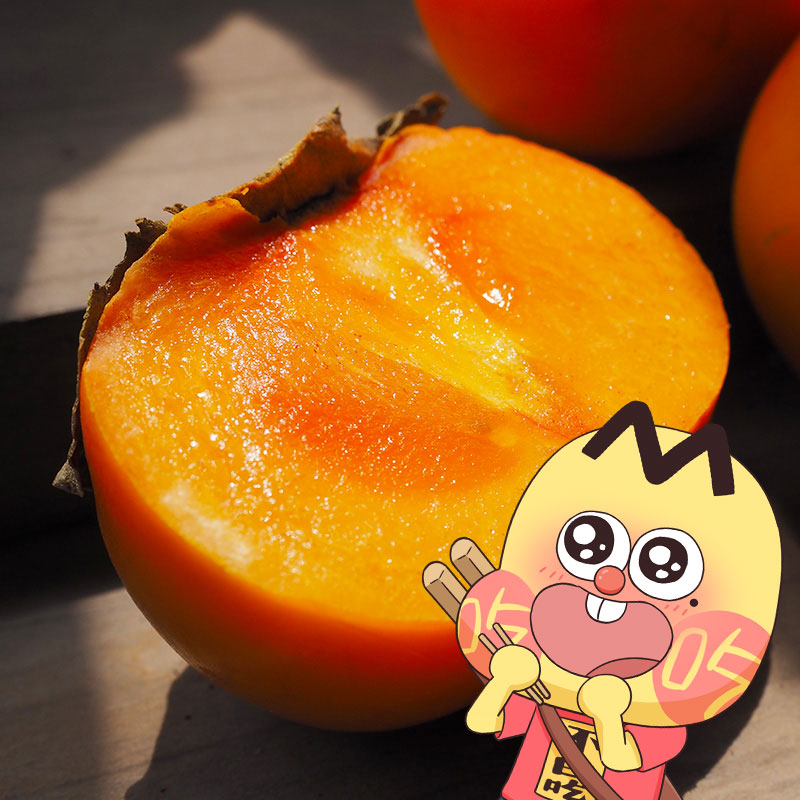 【我是不白吃】新鲜采摘巧克力脆柿 清甜可口脆甜不涩一口嘎嘣脆ST