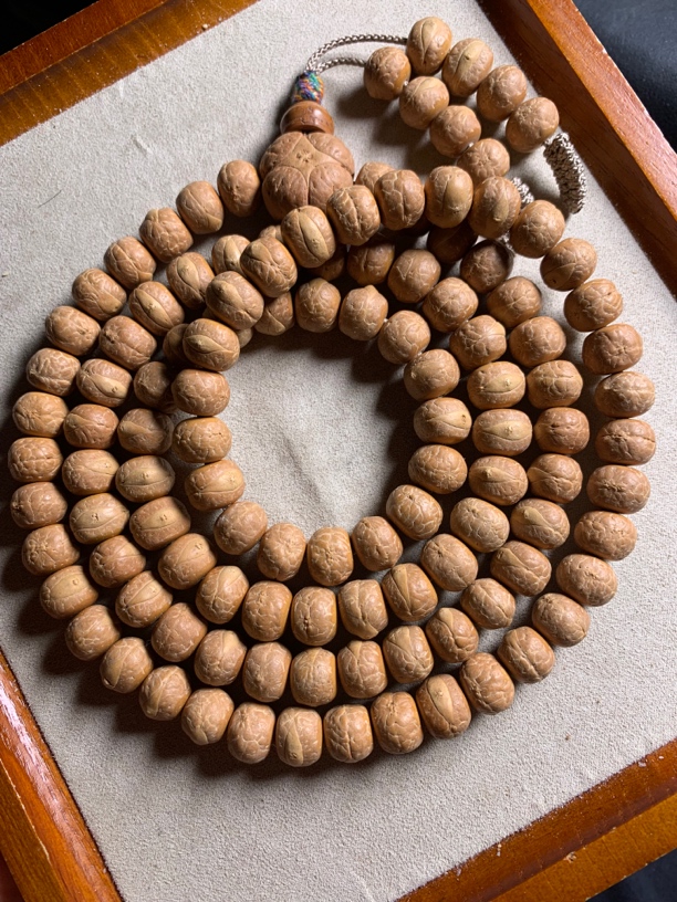 毕业级尼泊尔精工藏式凤眼菩提，尺寸11