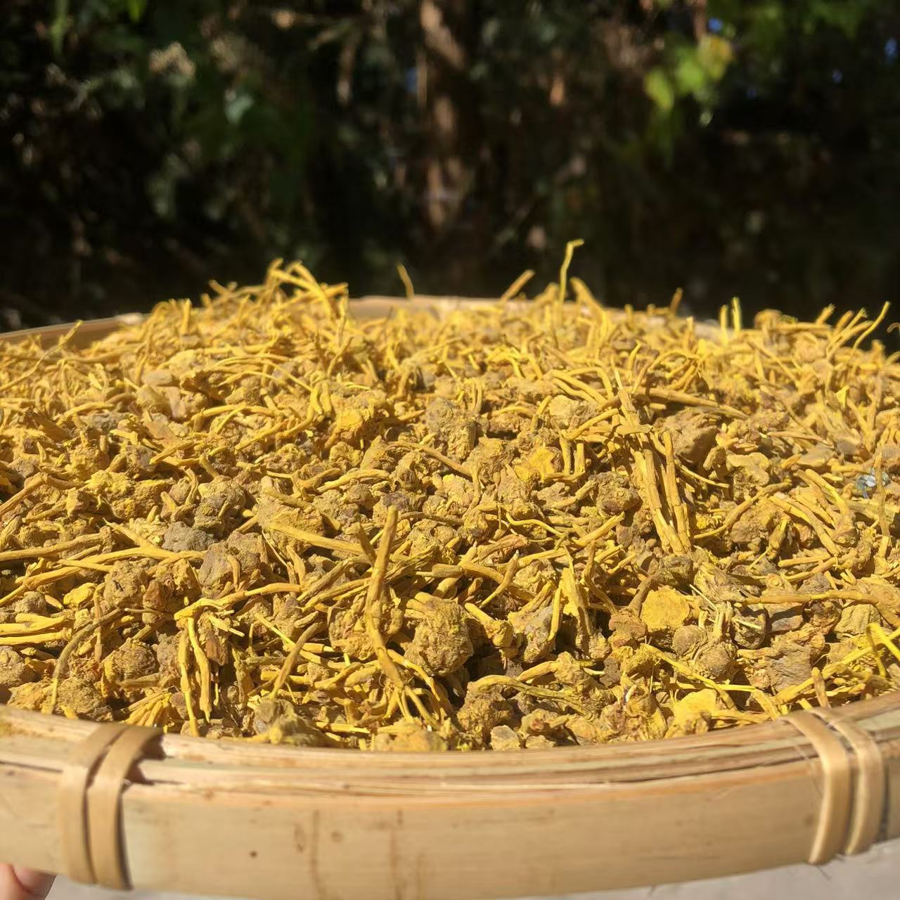 1【龙-须-石-斛】净含量500g-1000g【金金现收】