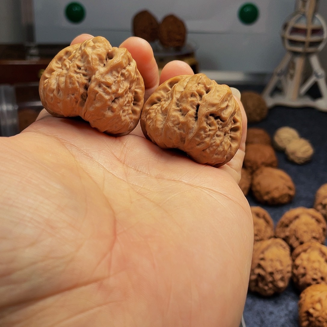 猴头核桃把件蛤蟆头40尺