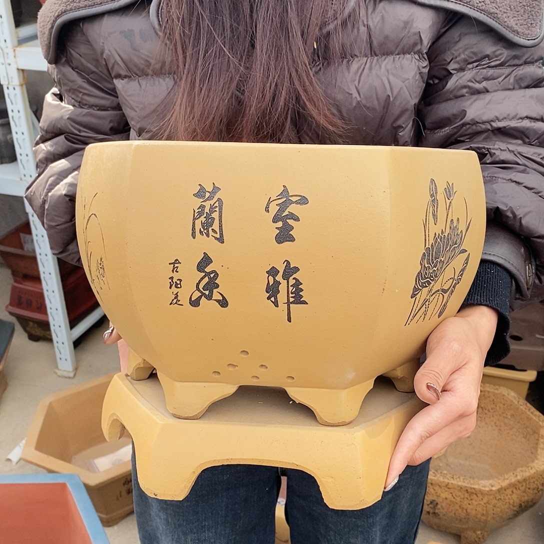 紫砂花盆紫砂花盆