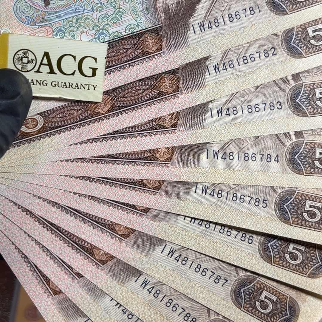 绿苍松标十无油无斑