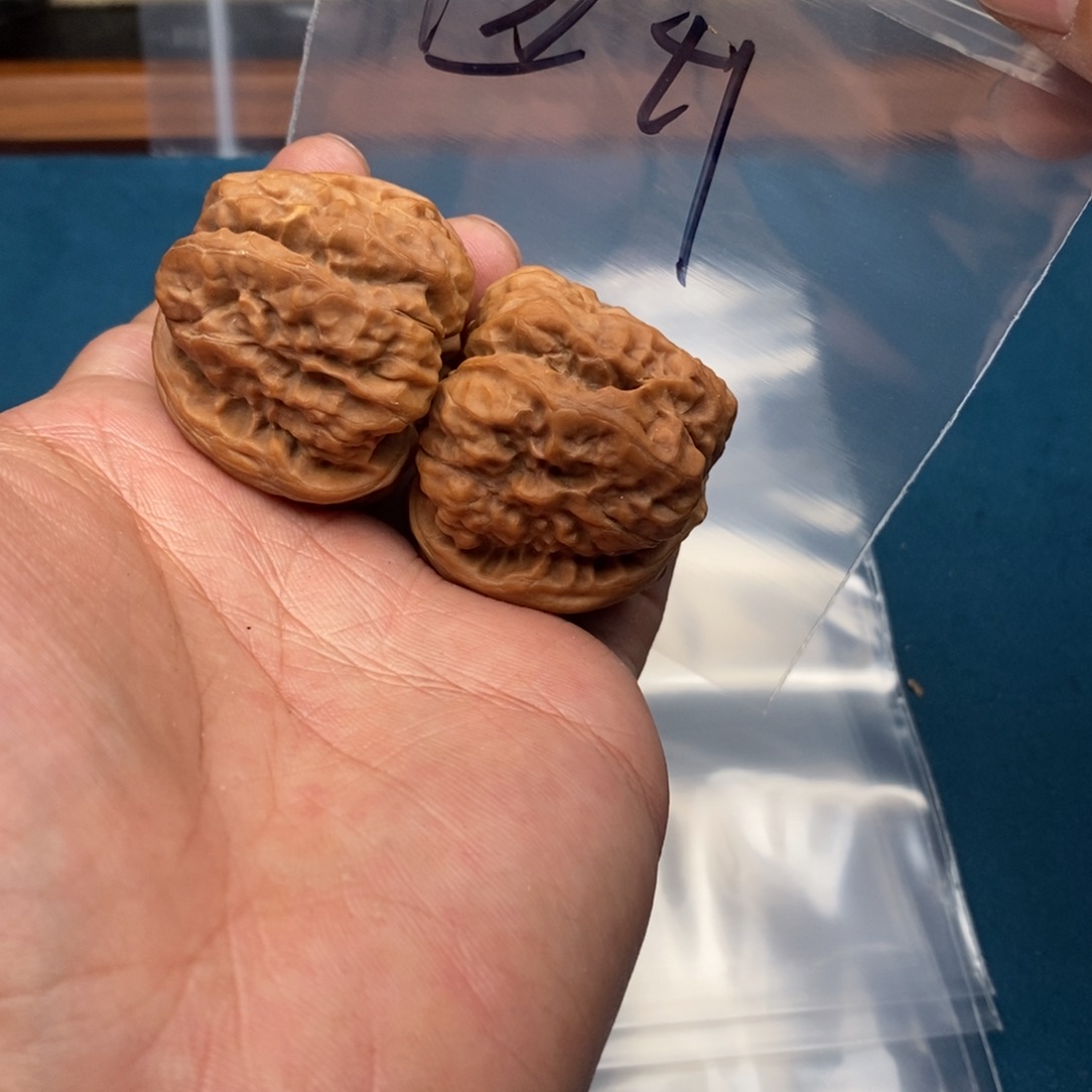 86484668463863753735573735