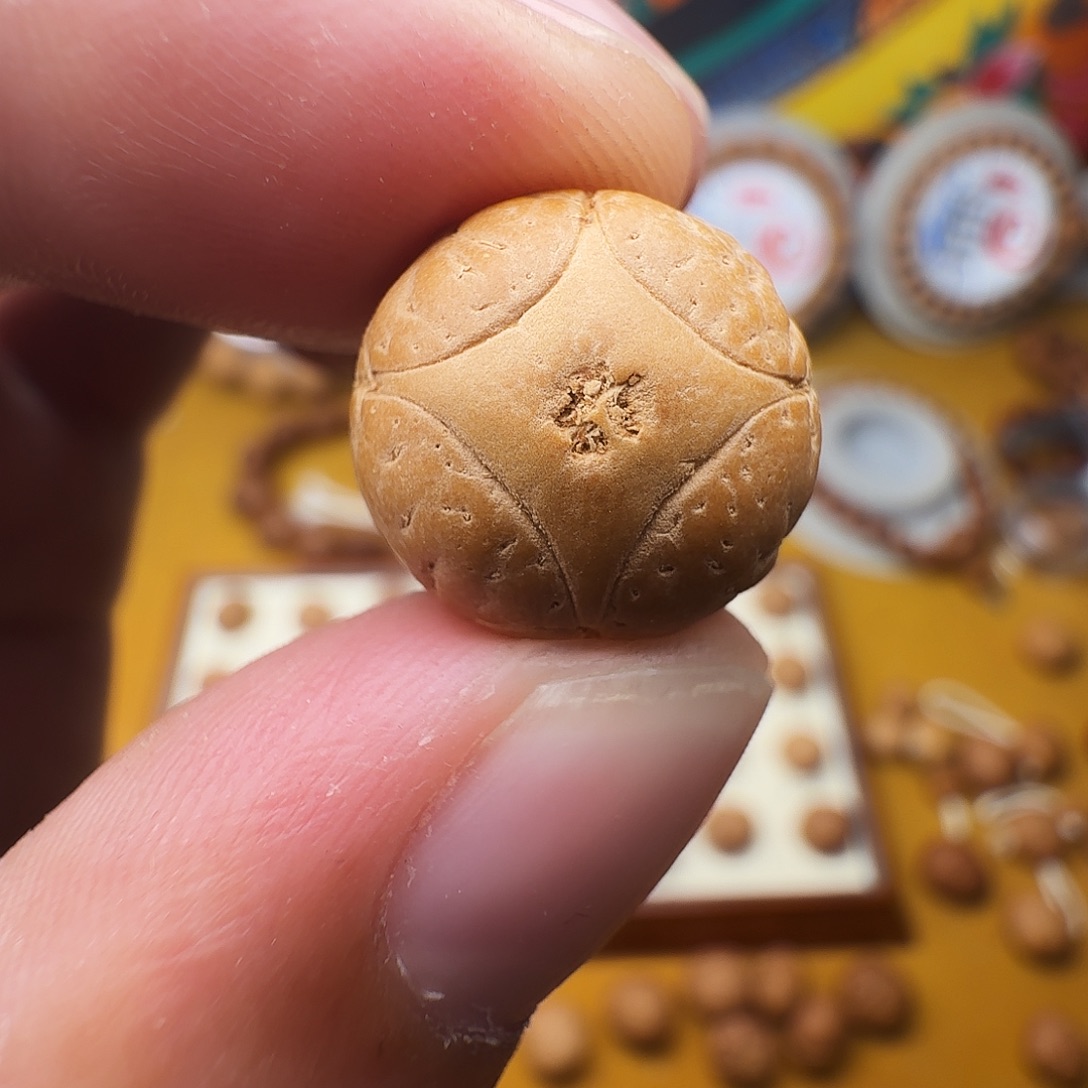 A***.15+麒麟单籽，一物一图