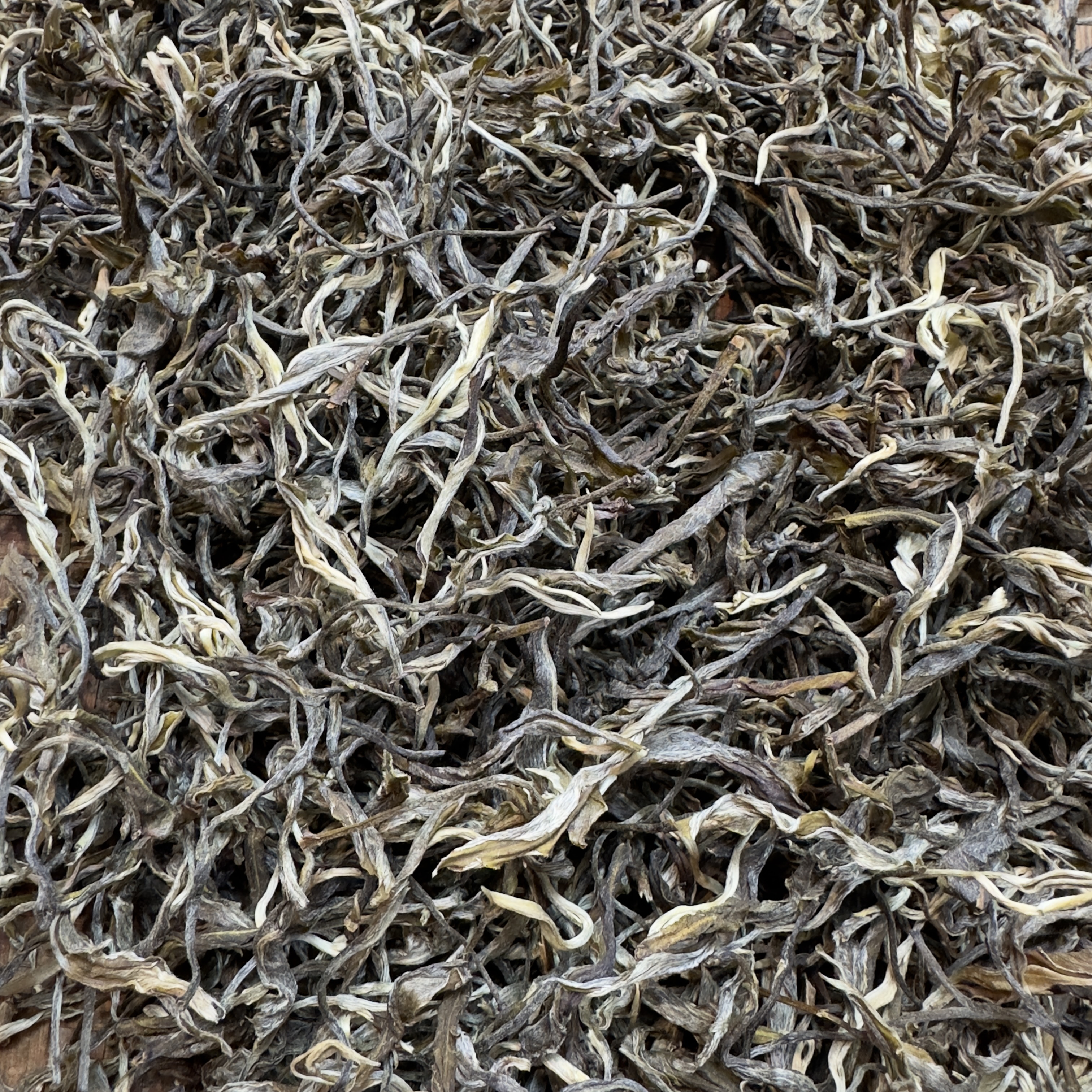 云南普洱茶2025年墨江凤凰窝古树生茶散料200克