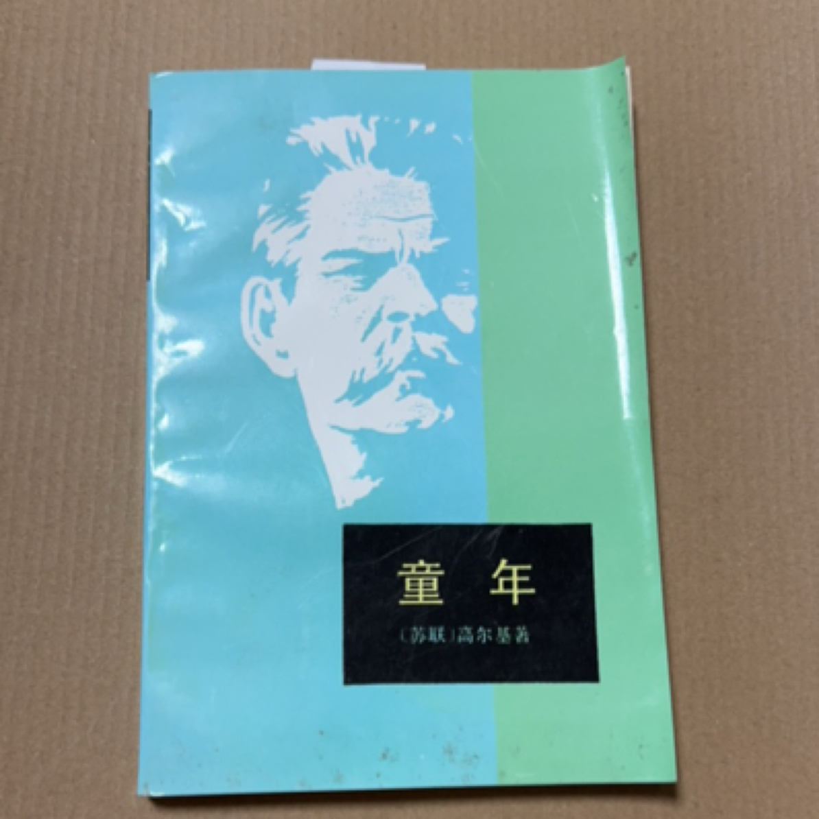 9新  童年 小说高尔基著