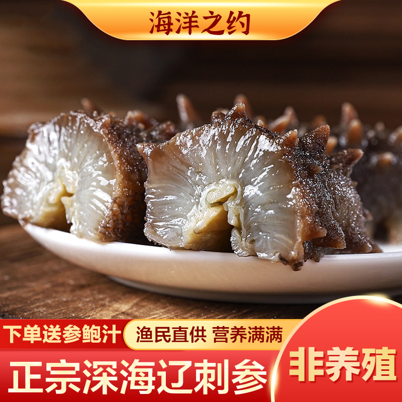 【鲜食海参1斤尝鲜】 大连海参开袋即食 海洋之约1斤