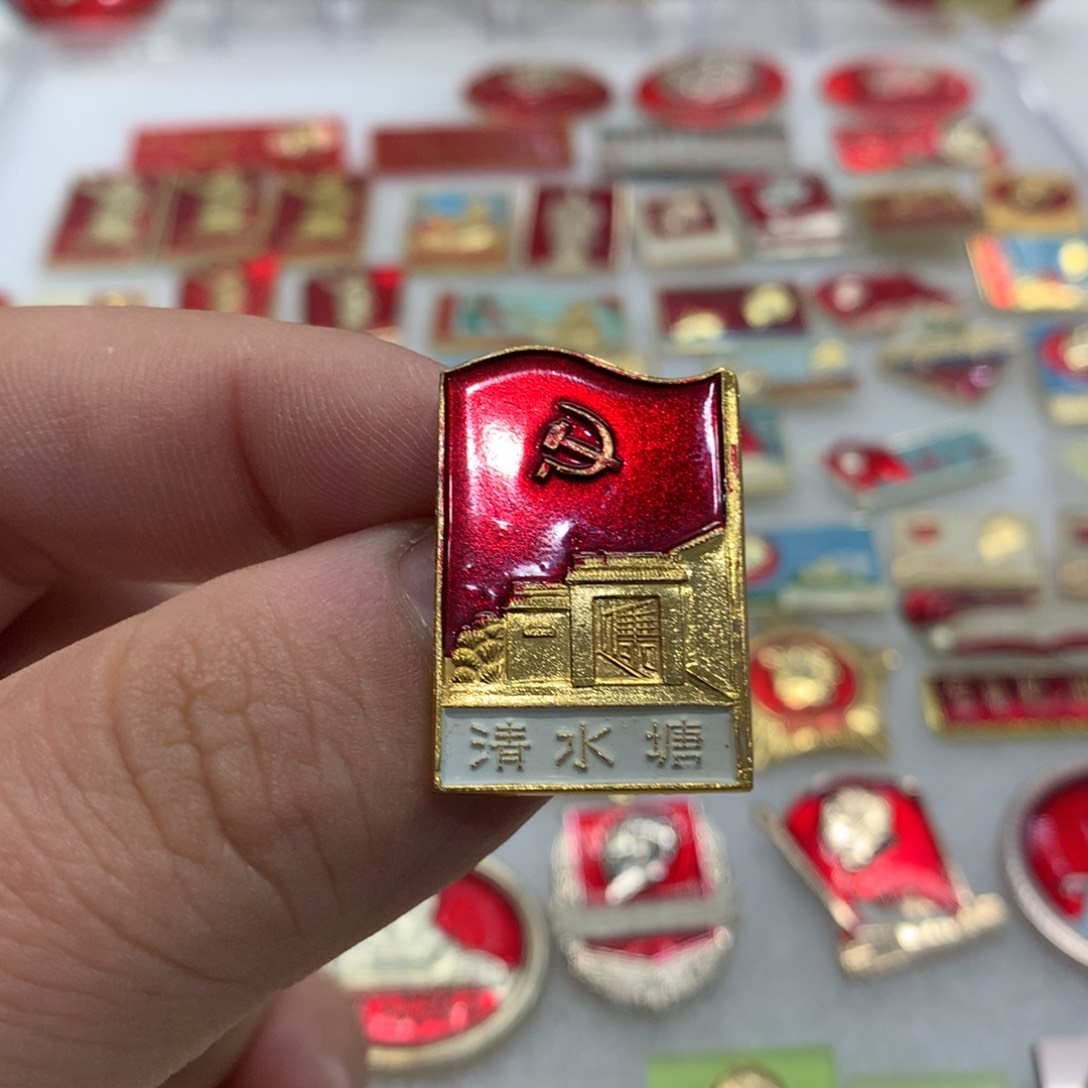 铝红章清水塘异形……中共湖南区委员会