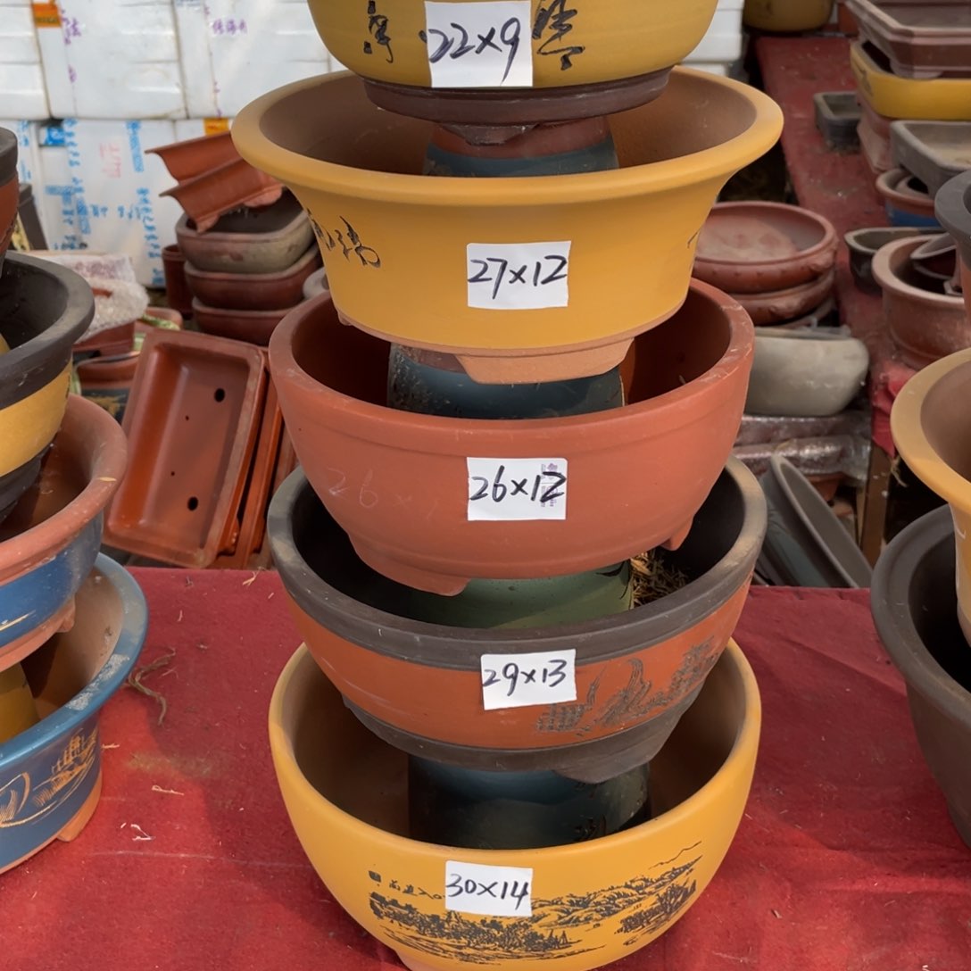 紫砂三号 一组五支