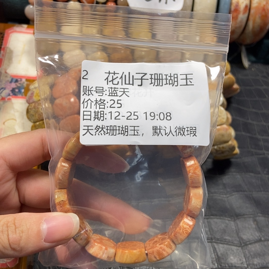 蓝***天硅化珊瑚（珊瑚玉）未镶嵌珠宝半成品2