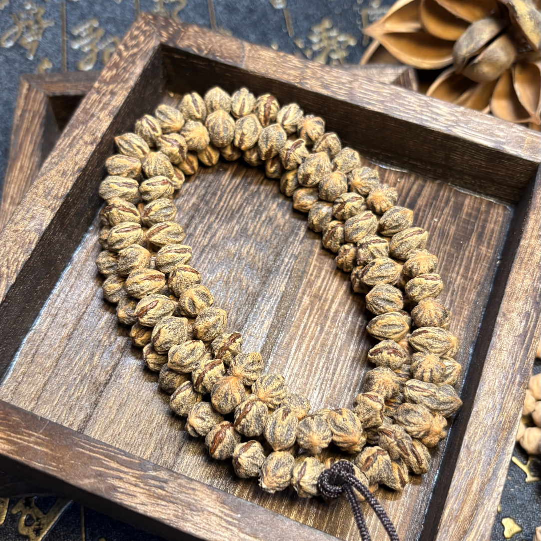 【独眼龙】百香籽红芽原桩热振籽 毕业级玉化籽无色差