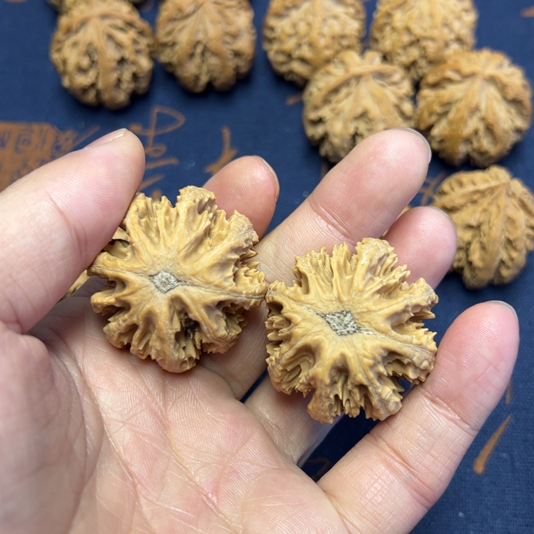 文玩核桃把件秦岭野生植物核桃