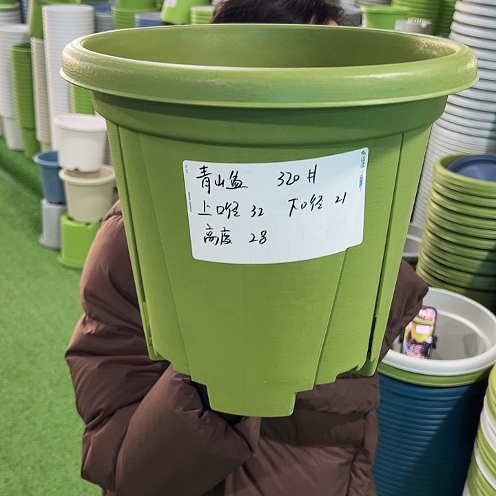 特价青山口32高28果绿无托5只