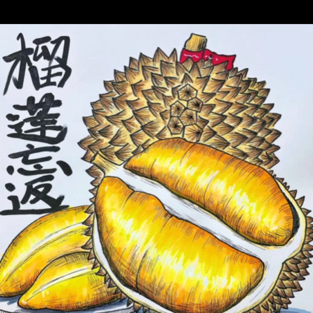 4斤 泰国树熟新鲜金枕榴莲【麻阳同城小时达】核小 金枕泰国金枕泰国东部