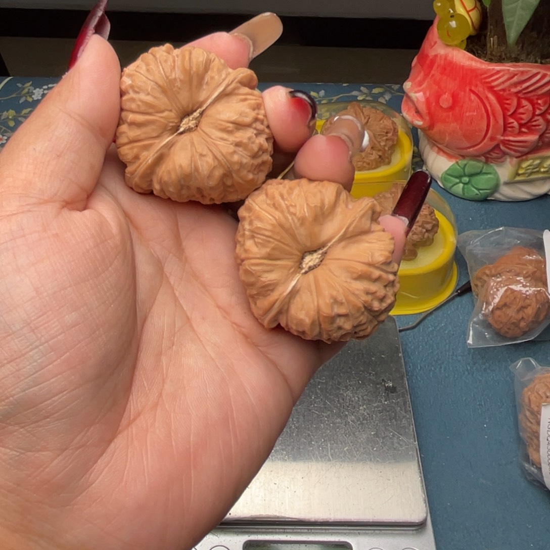 文玩核桃把件噗***南瓜墩42