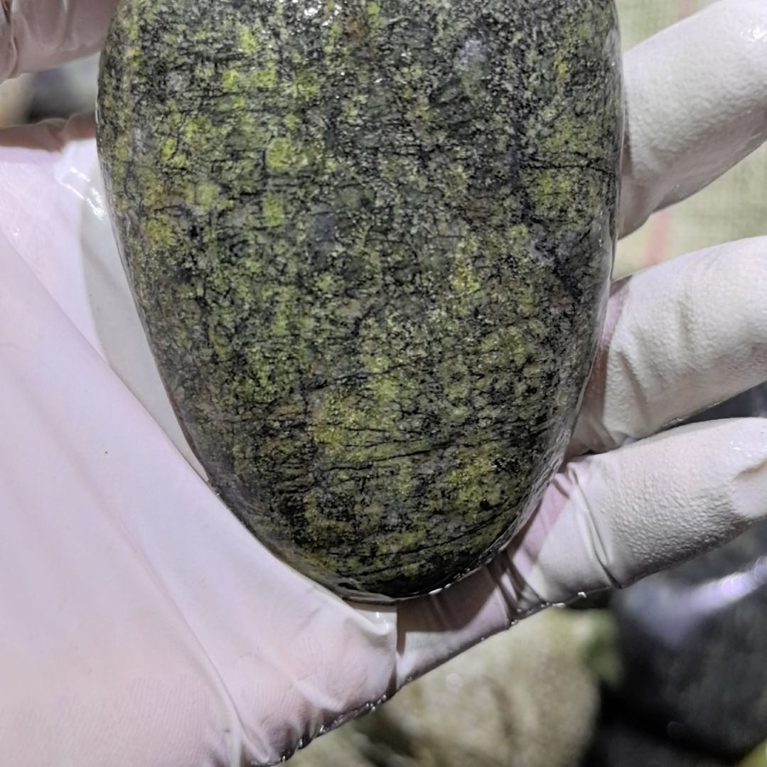 明***生藏玉药王石原石一个