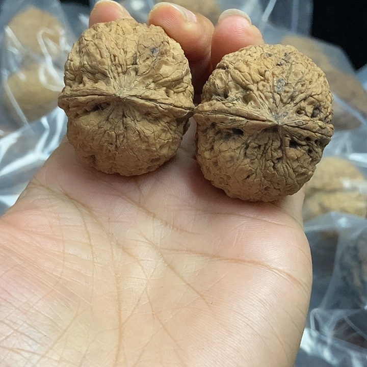 把件文玩核桃云南铁核桃基地7