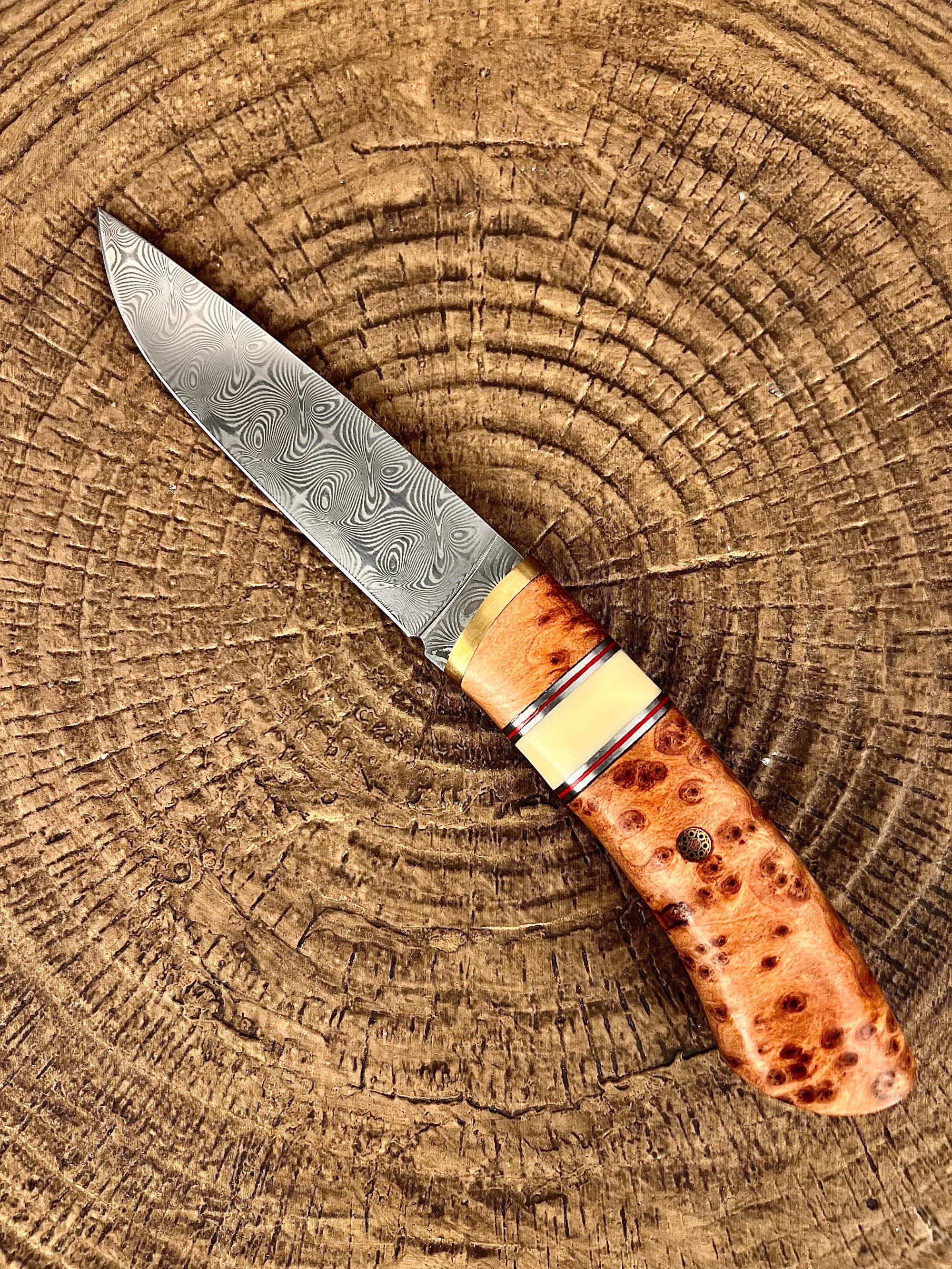 【瑞粉】陈化瘤疤崖柏镶嵌冰皮海星纹锻造大马士革手工刀