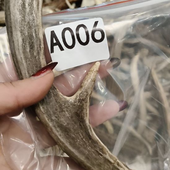 菜***羊鹿角鹿角鹿角鹿角鹿角
