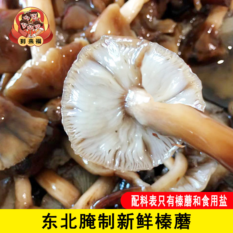 东北榛蘑腌制草蘑菇辽宁长白山特产食用真蘑榛蘑新鲜臻蘑珍蘑