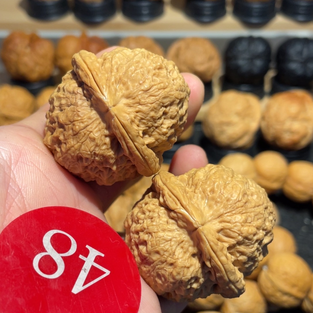 好***か铁狮子微彩核桃42