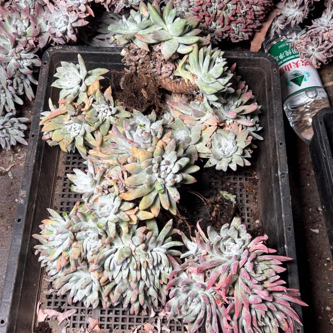 6347哈哈哈哈哈哈哈