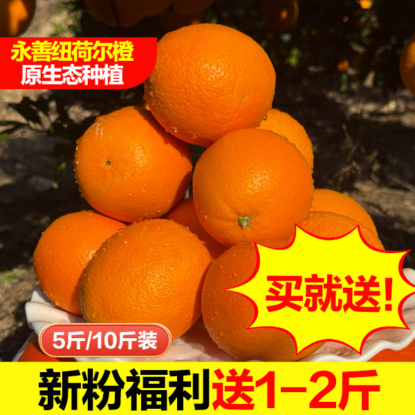 云南永善金沙纽荷尔冰糖心橙维C炸弹1赛8苹6梨超号期新粉送1元1箱