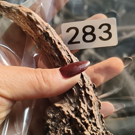 雍***度鹿角鹿角鹿角鹿角鹿角鹿角