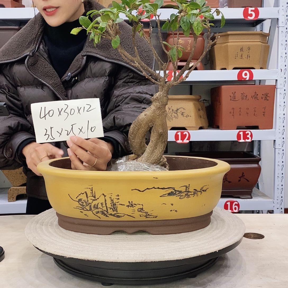 紫砂花盆紫砂花盆