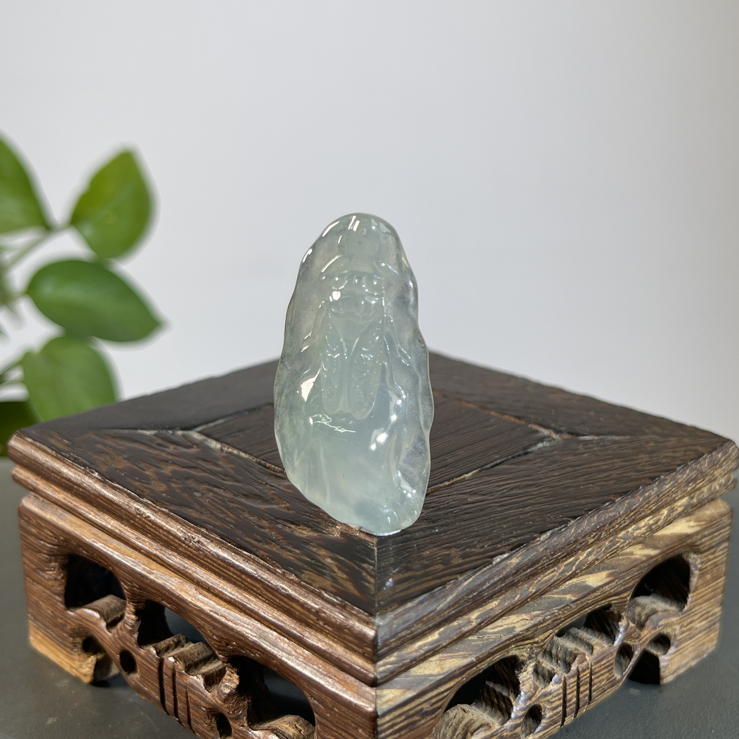 JGB20-145 天然缅甸A货翡翠  一鸣惊人