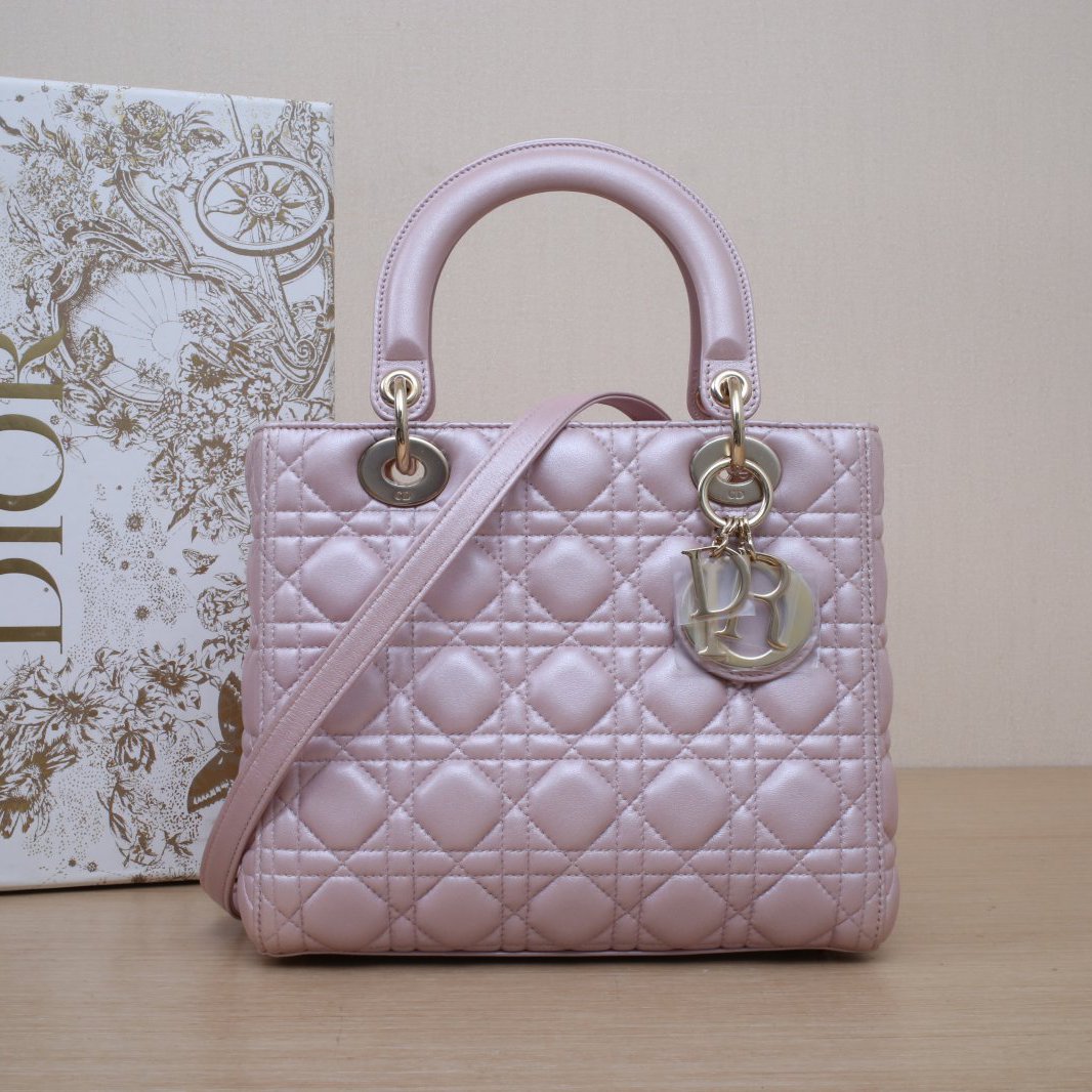99新 DIOR/迪奥 小花双双 戴妃包 五格 珠光粉 皮革S 浅金扣 2014