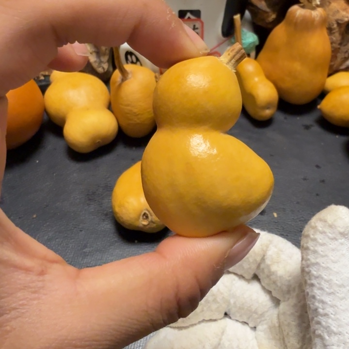 佛***人66……………………………………