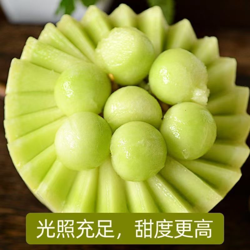 沙地软糯玉菇瓜甜瓜新鲜水果应季蜜瓜香瓜冰激凌玉菇甜瓜10斤