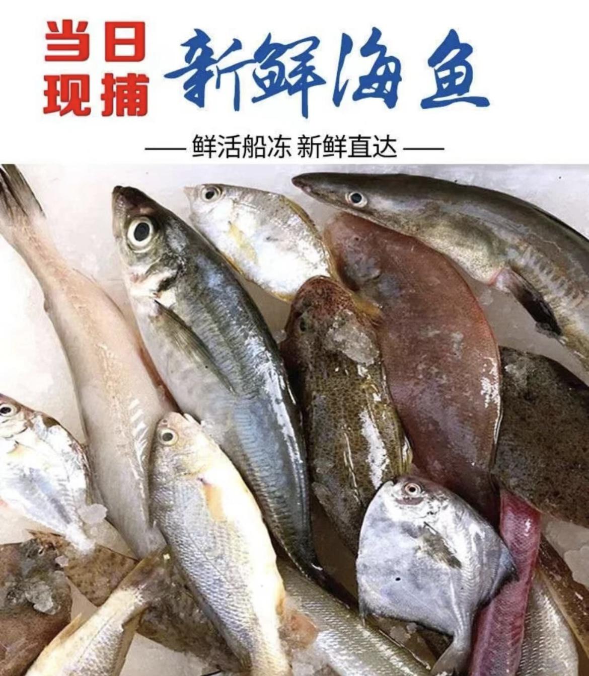 【直播间套餐】惠来神泉本港野生海鲜套餐 广东省顺丰包邮