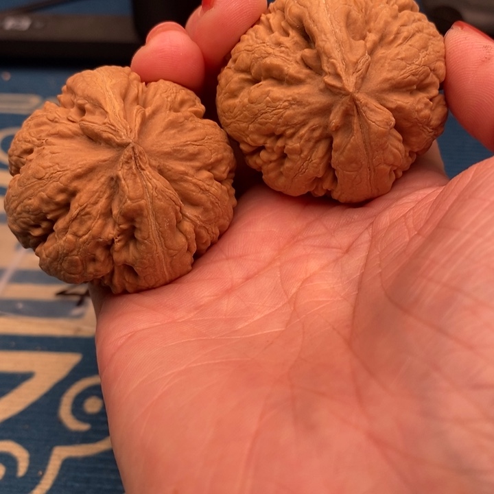 重***下文玩核桃吊坠文玩核桃文雅密度