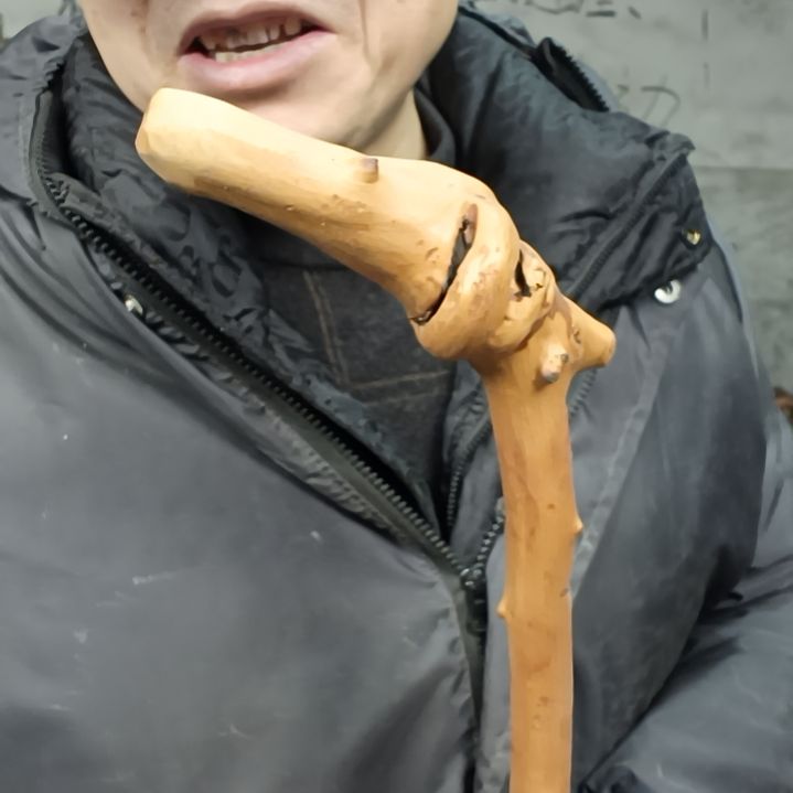 稳定木自***柴贵州檬子木   铁马鞭   根艺  半成品