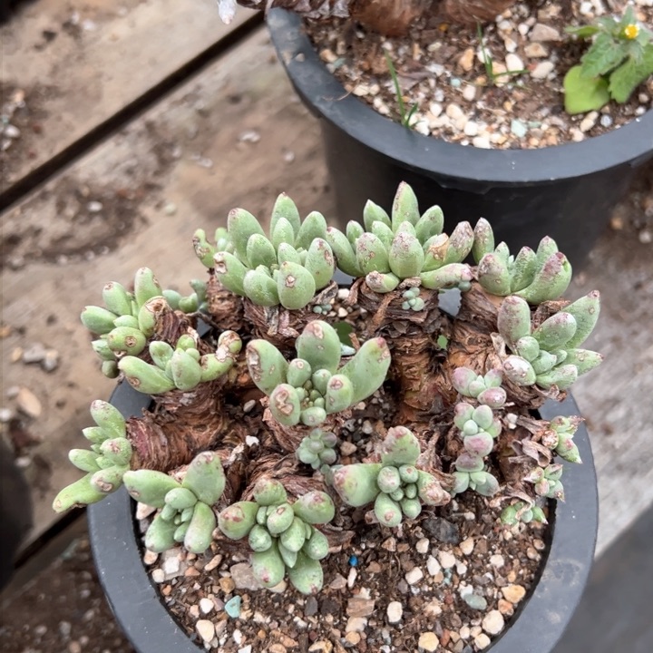 947哈哈哈哈哈哈哈哈哈