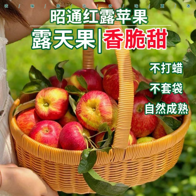 CY云南昭通现摘红露丑苹果新鲜脆甜多汁营养丰富
