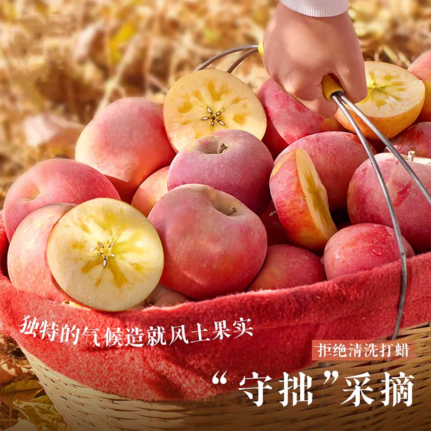 新疆阿克苏苹果（山东发货）（JD快递）4.5斤冰糖心 表面有灰砂