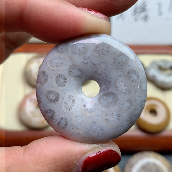 硅化珊瑚（珊瑚玉）颈饰未镶嵌