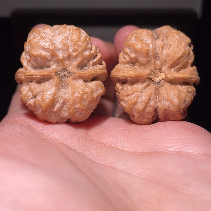 张***祥核桃手串/手链蛤蟆头  