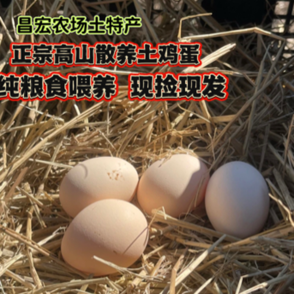 高山散养土鸡蛋50枚现捡现发净重4.9斤以上正宗，五谷喂养新鲜